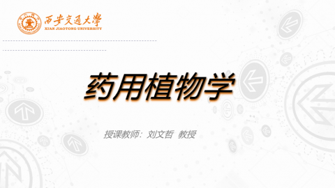 默认计划 